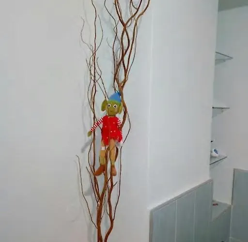 Short Appartement